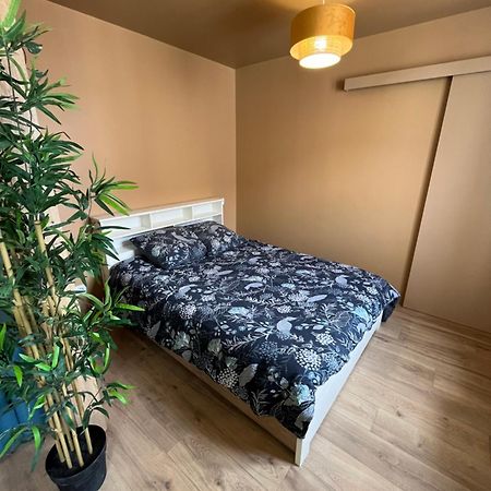 Apartament L'Ile De Bali, Sejour En Couple Ou Famille Roanne Zewnętrze zdjęcie