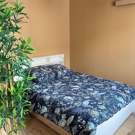 Apartament L'Ile De Bali, Sejour En Couple Ou Famille Roanne Zewnętrze zdjęcie
