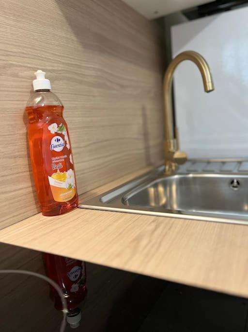 Apartament L'Ile De Bali, Sejour En Couple Ou Famille Roanne Zewnętrze zdjęcie