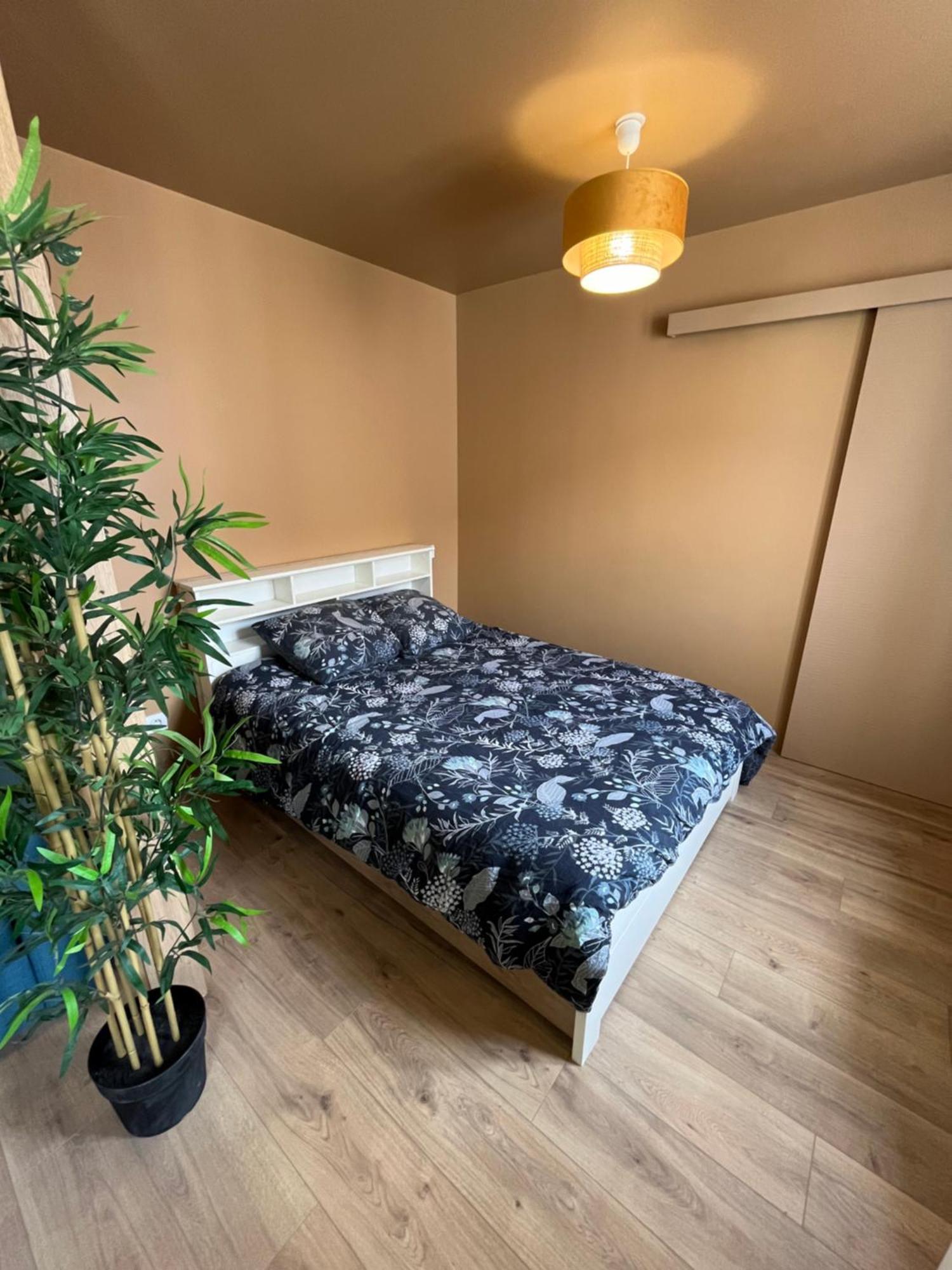 Apartament L'Ile De Bali, Sejour En Couple Ou Famille Roanne Zewnętrze zdjęcie